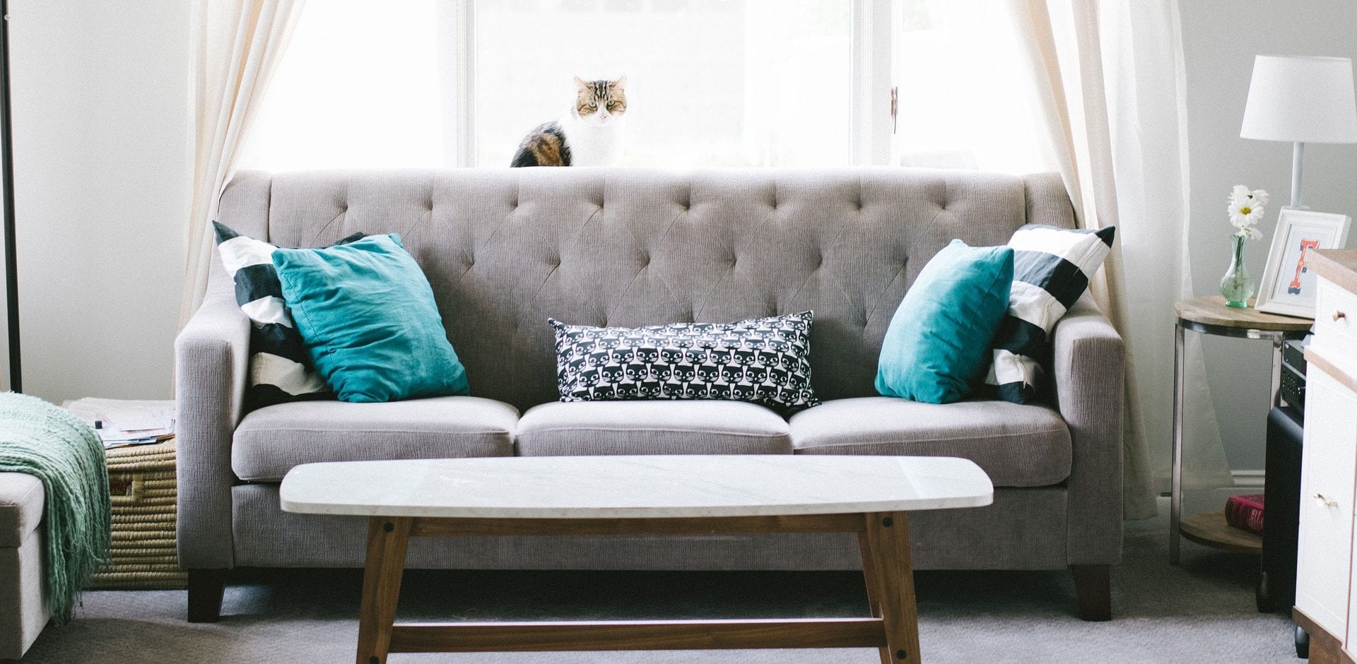 Buyers Guide The First Steps